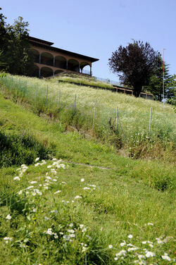 Stabio ex clinica San Pietro