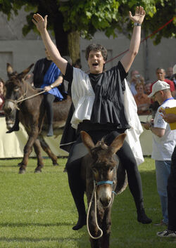 Mendrisio Palio degli Asini