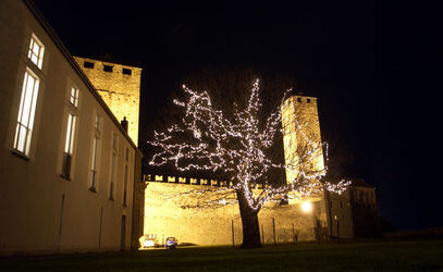 Bellinzona illuminazione castagno