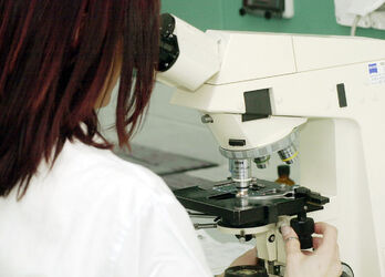 Bellinzona laboratorio cantonale inaugurazione Bellinzona laboratorio cantonale inaugurazione