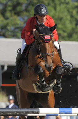 Ippica Pius Schwizer