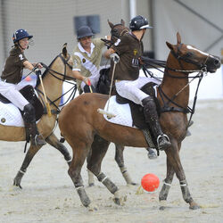 Polo finale torneo Ascona Polo Cup