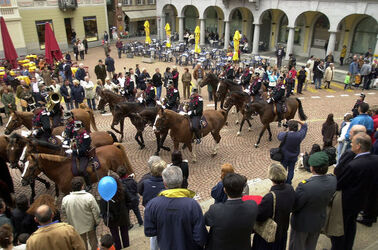 Bellinzona sfilata equestre TIcavallo