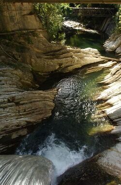 Geoparco escursione al Parco della Breggia