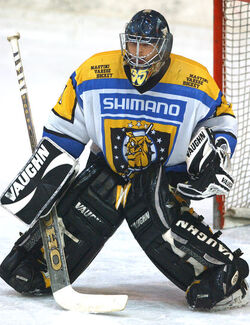 Hockey Italia Varese Brunico