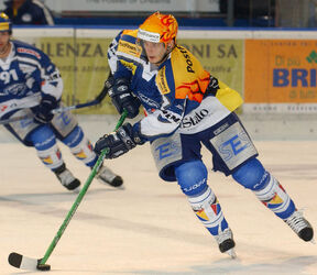 Hockey Hnat Domenichelli