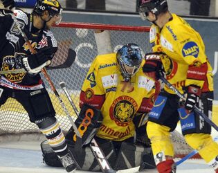 Hockey HC Lugano SC Langnau Tigers