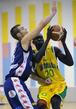Basket SAV Vacallo SAM Massagno