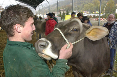 Mendrisio Fiera San Martino 2003