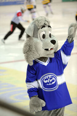 Hockey mascotte hcap