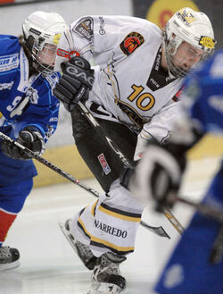 Hockey Ladies Team Lugano EV Zug