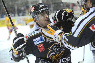 Hockey Daniel Steiner