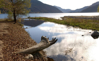 Caslano foce Magliasina