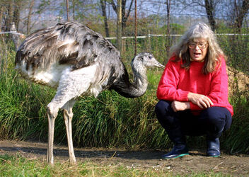 Giubiasco Brenda Chestney e i suoi animali Giubiasco Brenda Chestney e i suoi animali