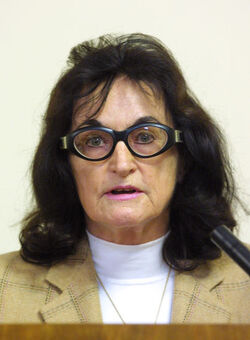 Bellinzona seduta Gran Consiglio