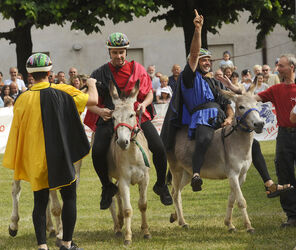 Mendrisio Palio degli Asini