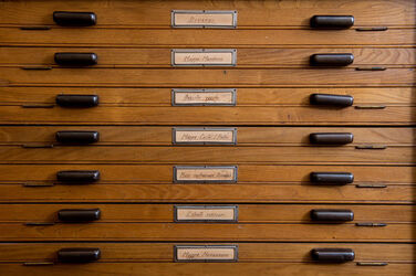 Mendrisio archivio comunale
