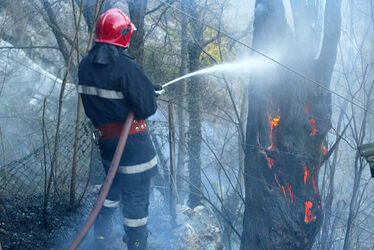 Cavigliano incendio