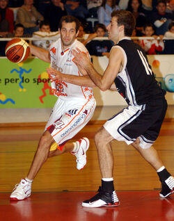 Basket Lugano Tigers Birstal Starwings