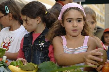 Bellinzona performance Arcimboldo Bellinzona performance Arcimboldo