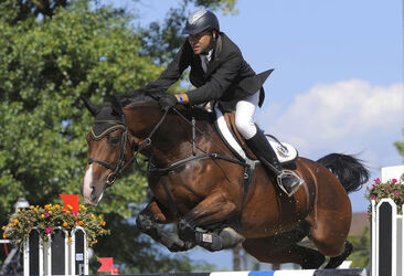 Ippica Clint Sulmoni