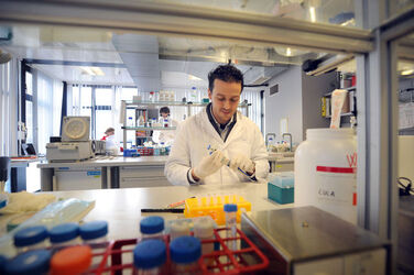Bellinzona 10 anni IRB ricerca medica