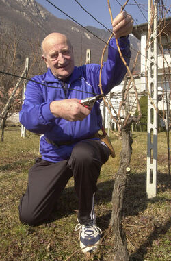 Personaggio Sport Bruno Della Bruna