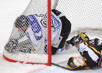 Hockey HC Lugano HC Friborgo Gott&eacute;ron