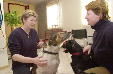 Rancate centro fitness per cani