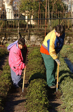 Melano progetto foyer agricolo Fondazione San Gottardo