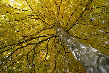 Autunno