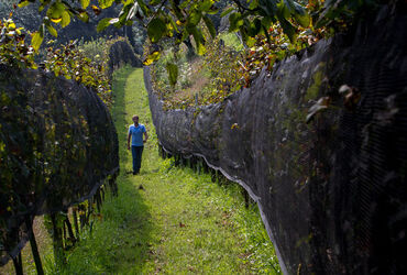 Stabio Ettore Biraghi Stabio Ettore Biraghi