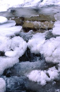 Senza titolo Senza titolo