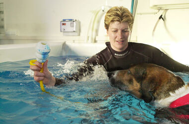 Rancate centro fitness per cani