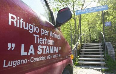 Ticino societa protezione animali