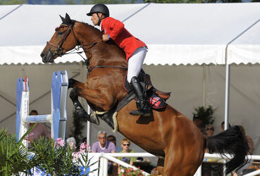 Ippica Pius Schwizer