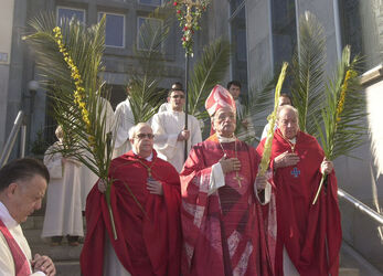 Lugano benedizione delle palme