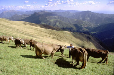 Monte Generoso agricoltura