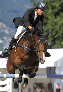 Ippica Clint Sulmoni