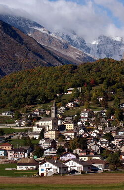 Senza titolo Senza titolo