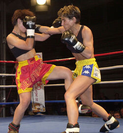 Kick Boxing incontro titolo mondiale ISKA