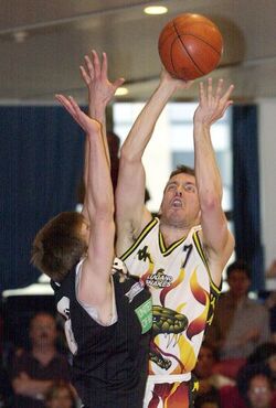 Basket playoff LNA Lugano Snakes Olympic Friborgo