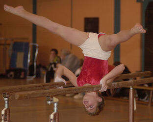 Ginnastica giornata attrezzistica a Bellinzona