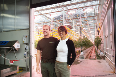 SANT ANTONINO presentazione Orticola Bassi per la produzione di pomodori svizzeri in inverno con tecnologie all avanguardia