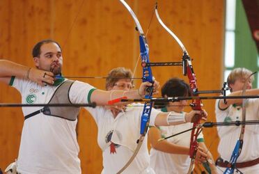 Tiro con l arco 6.Trofeo Ticino d oro