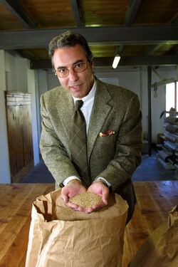 Maroggia paese