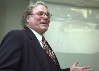 Mendrisio Fond.parco scientifico svizzero del legno