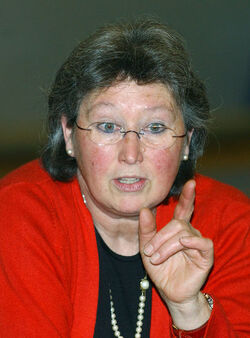 Basket PF Bellinzona Opfikon Basket Basket PF Bellinzona Opfikon Basket