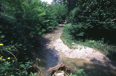 Valle della Motta scorci fiume Roncaglia a Novazzano