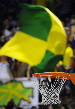 Basket SAV Vacallo Lugano Tigers